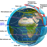 Global Economy and Its Influence on Shopping Behavior