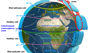 Global Economy and Its Influence on Shopping Behavior