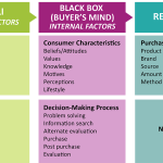 Consumer News on Popular Shopping Categories in 2025 Unveiled