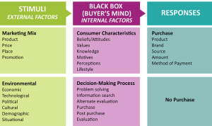 Consumer News on Popular Shopping Categories in 2025 Unveiled