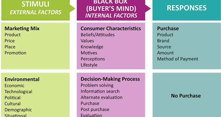 Consumer News on Popular Shopping Categories in 2025 Unveiled